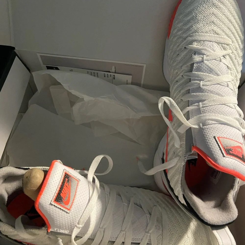 LebronXVI - Picture 1 of 3